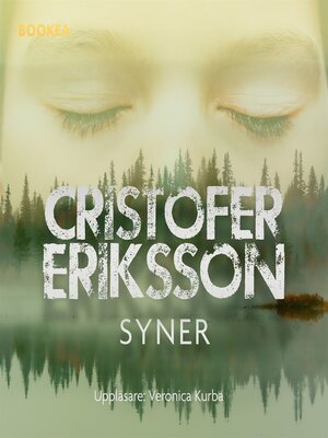 cover image of Syner
